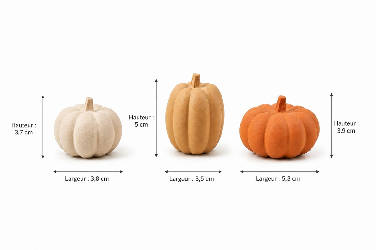 Petites citrouilles décoratives • Lot de 3 • Coffret Aube, Récolte ou Minuit